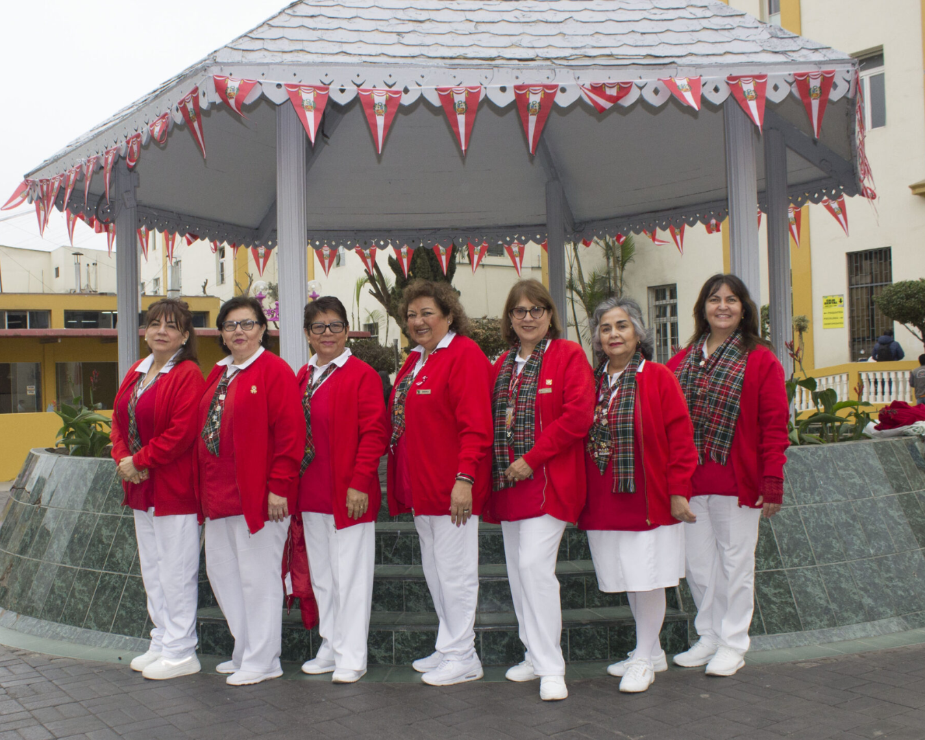 Asociación de Voluntariado del Instituto Nacional de Salud del Niño