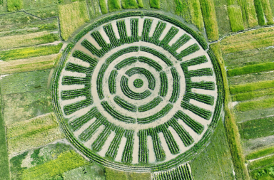 Waru Waru cambio climático