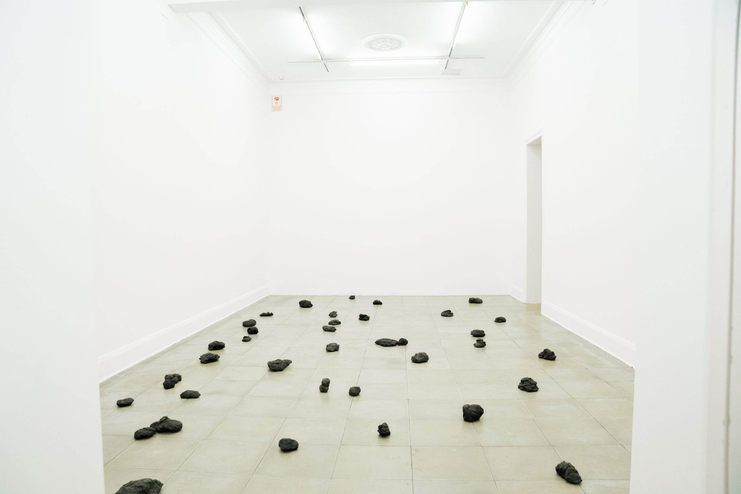 Not Vital, “Mongolian Cow Dung” (Estiércol de vaca mongol), bronce, dimensiones variables.