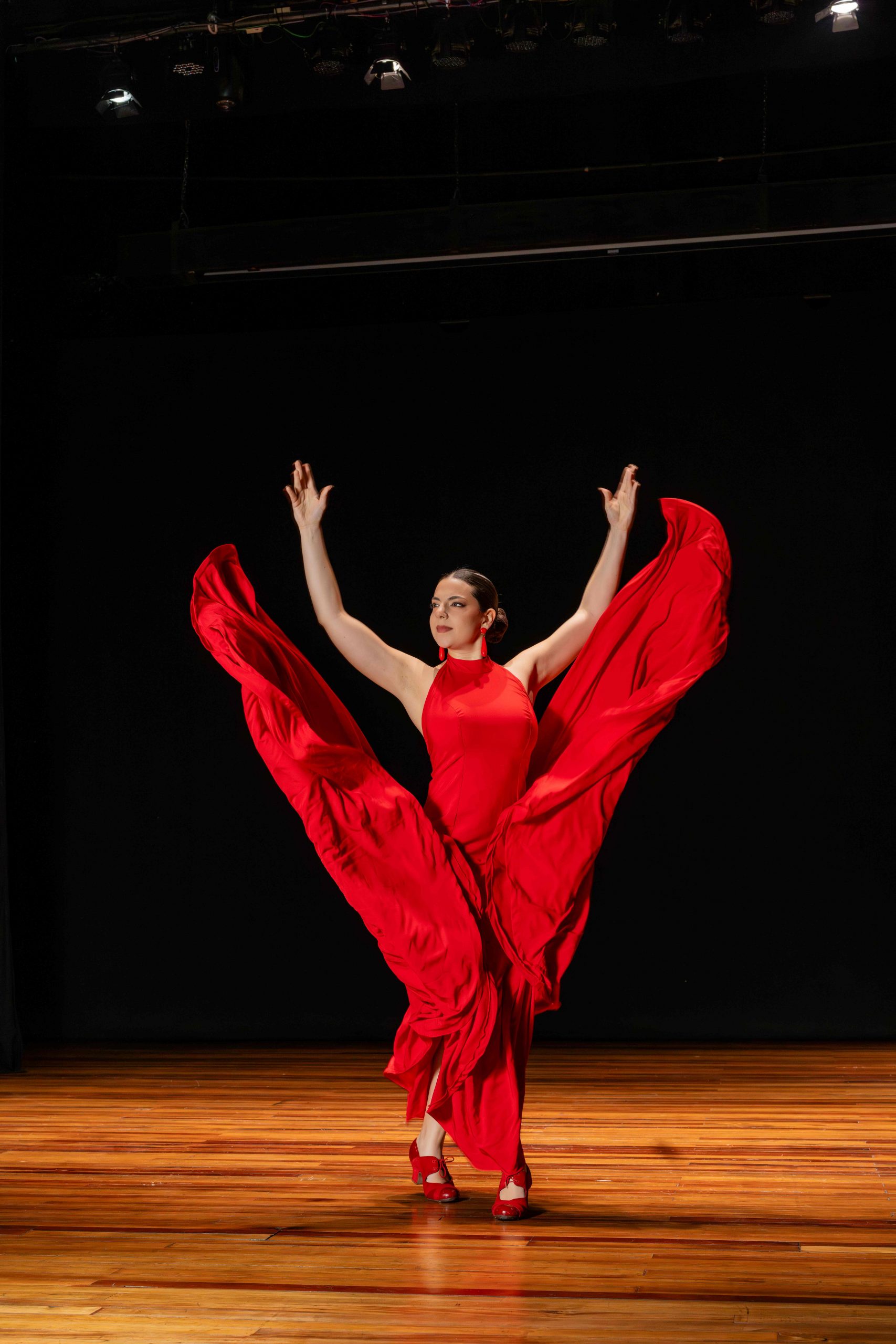 Shirel flamenco
