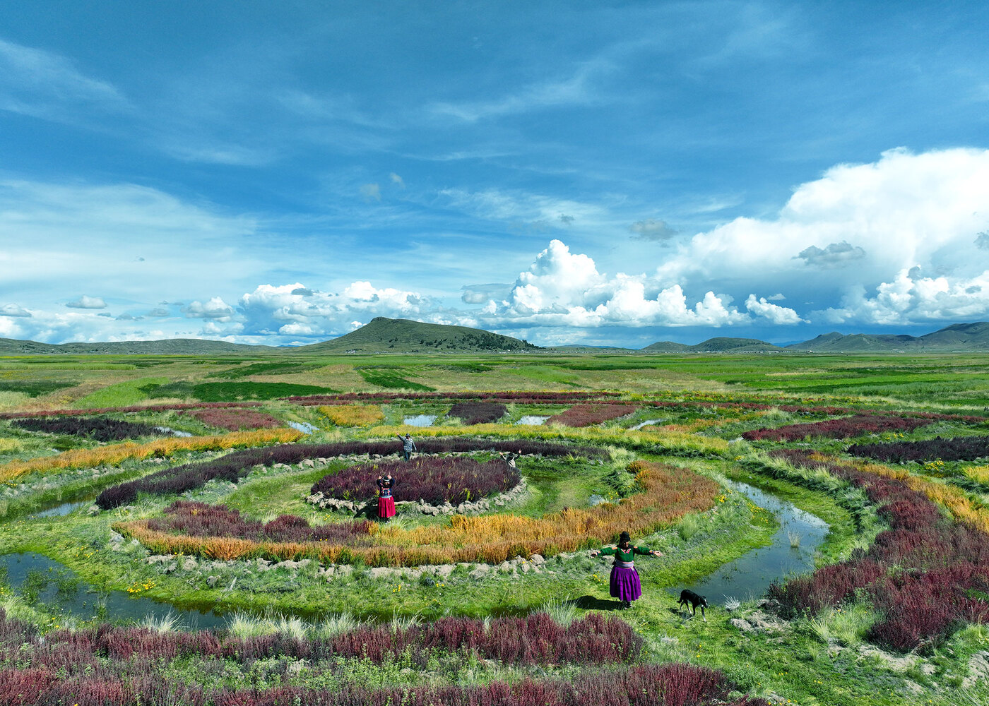 Waru Waru cambio climático