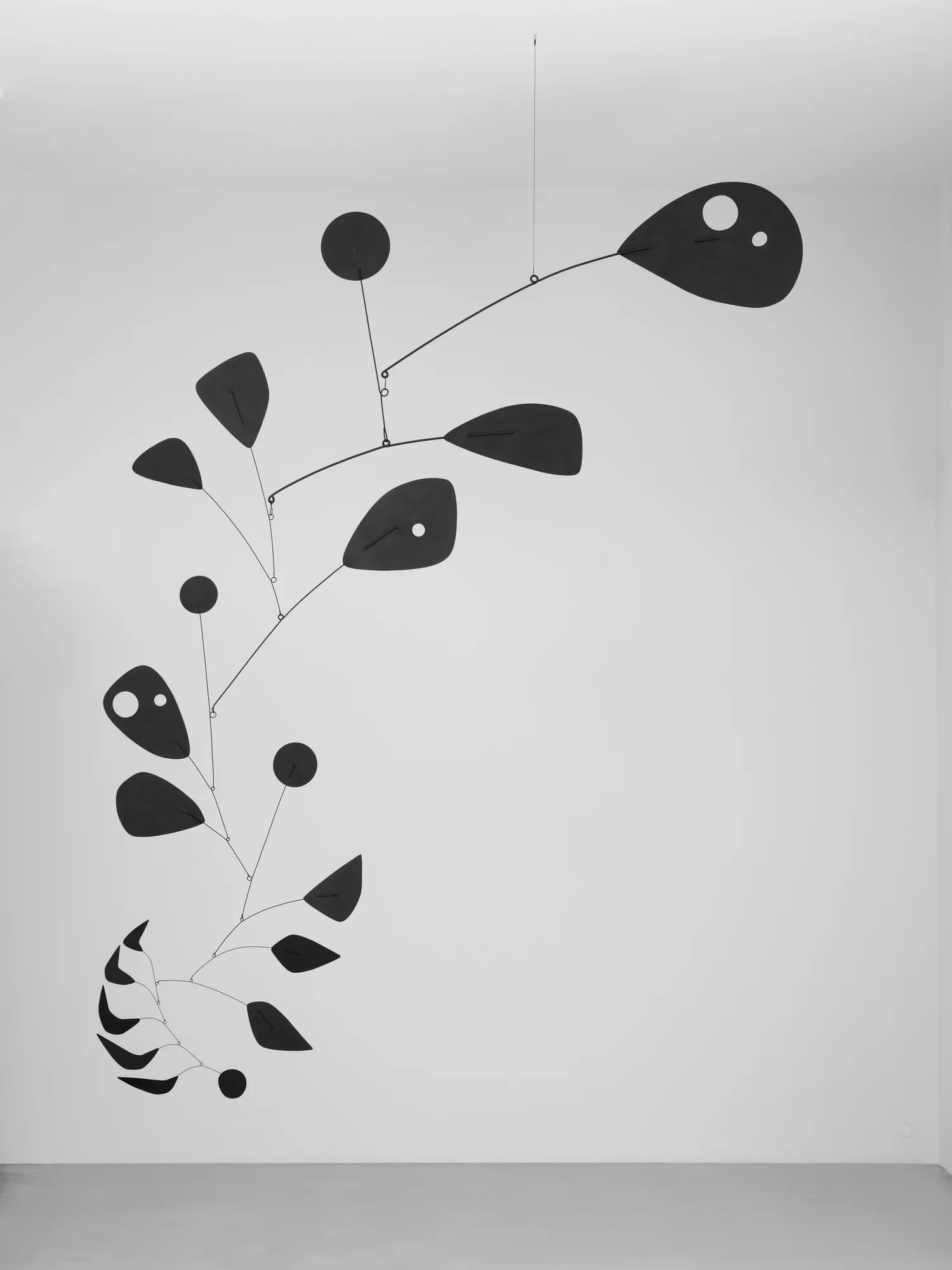 Alexander Calder, Viuda Negra, 1948. © 2025 Calder Foundation, Nueva York