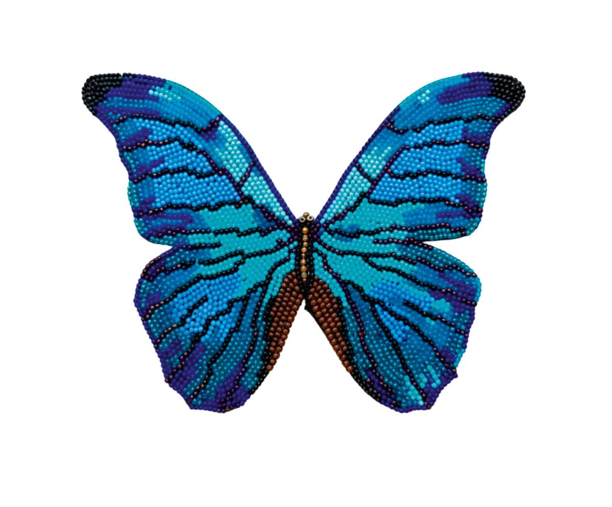 Mariposa