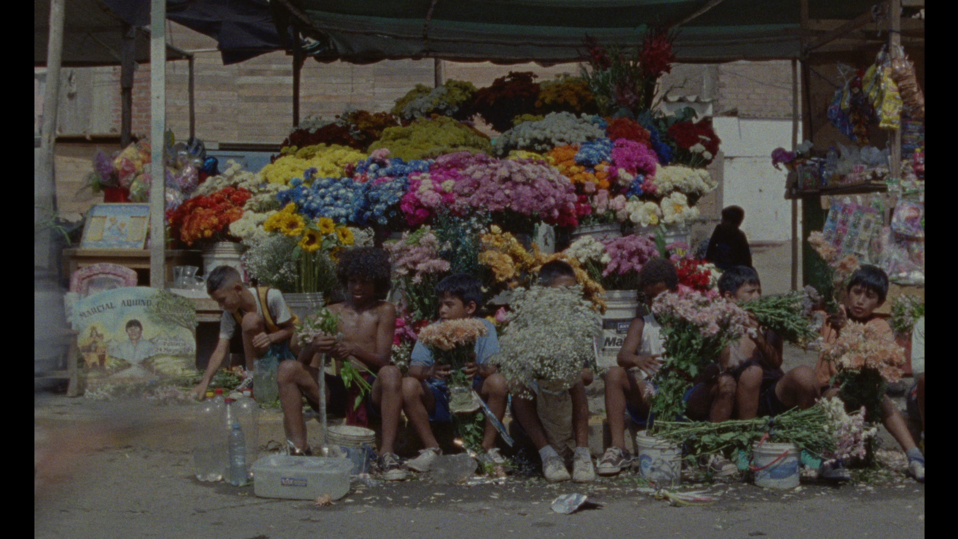 Infancias que trabajan y sueñan. Flores, calle y supervivencia en un paisaje donde crecer ocurre demasiado rápido.