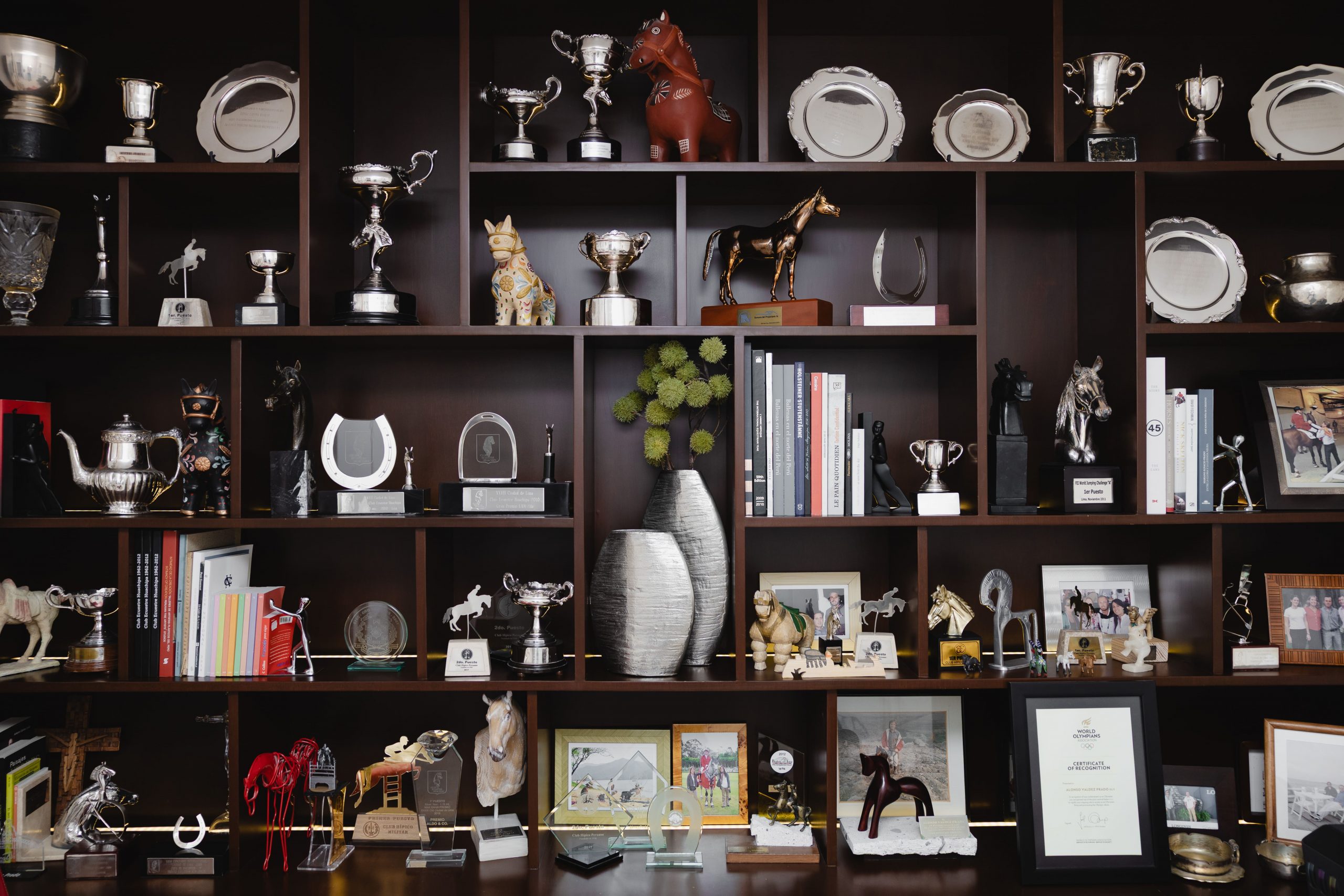 Repisas cuidadosamente dispuestas exhiben trofeos y recuerdos de su carrera deportiva.