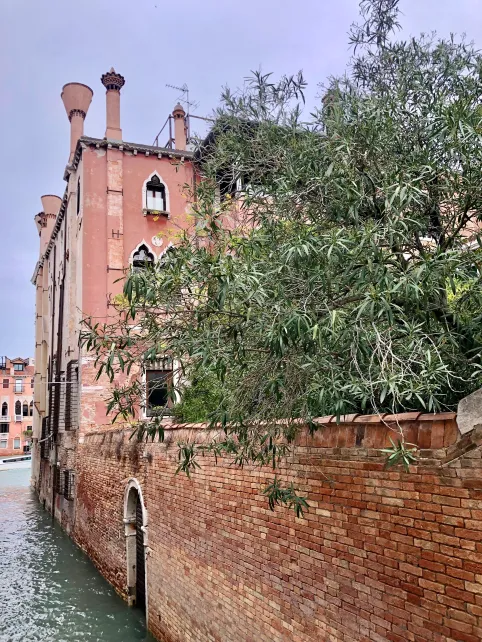 El acceso posterior de Ca’ Dario, lejos del bullicio turístico, donde la superstición persiste.
