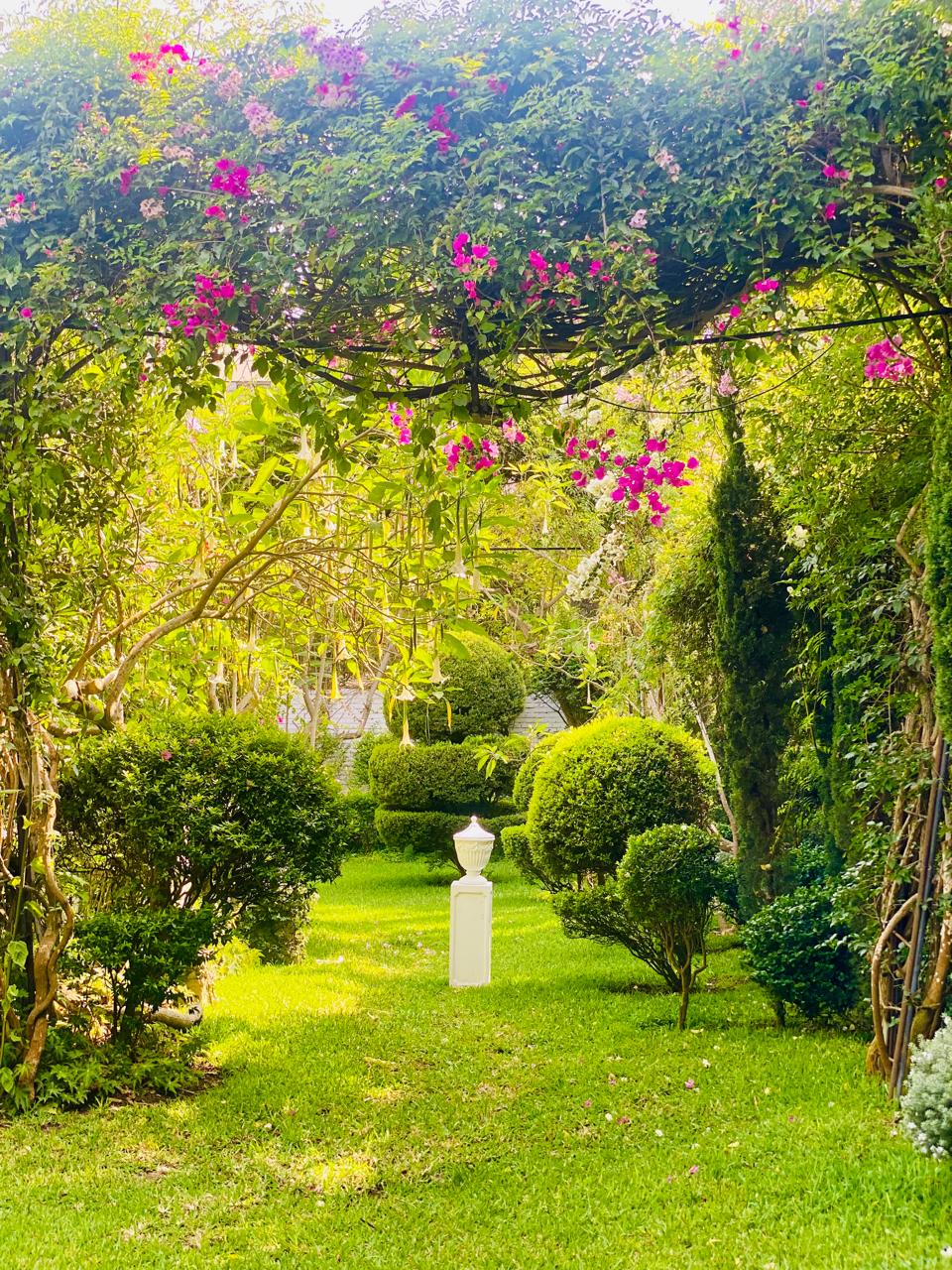 La poda oportuna y el abonamiento adecuado permiten que el jardín crezca con fuerza sin perder armonía.