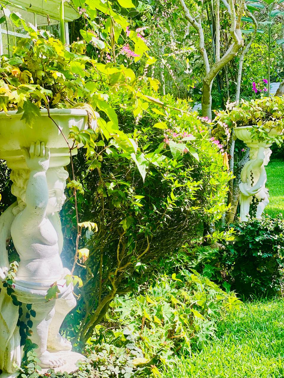 Un jardín bien cuidado invita a detenerse, recorrerlo sin prisa y habitar el presente.