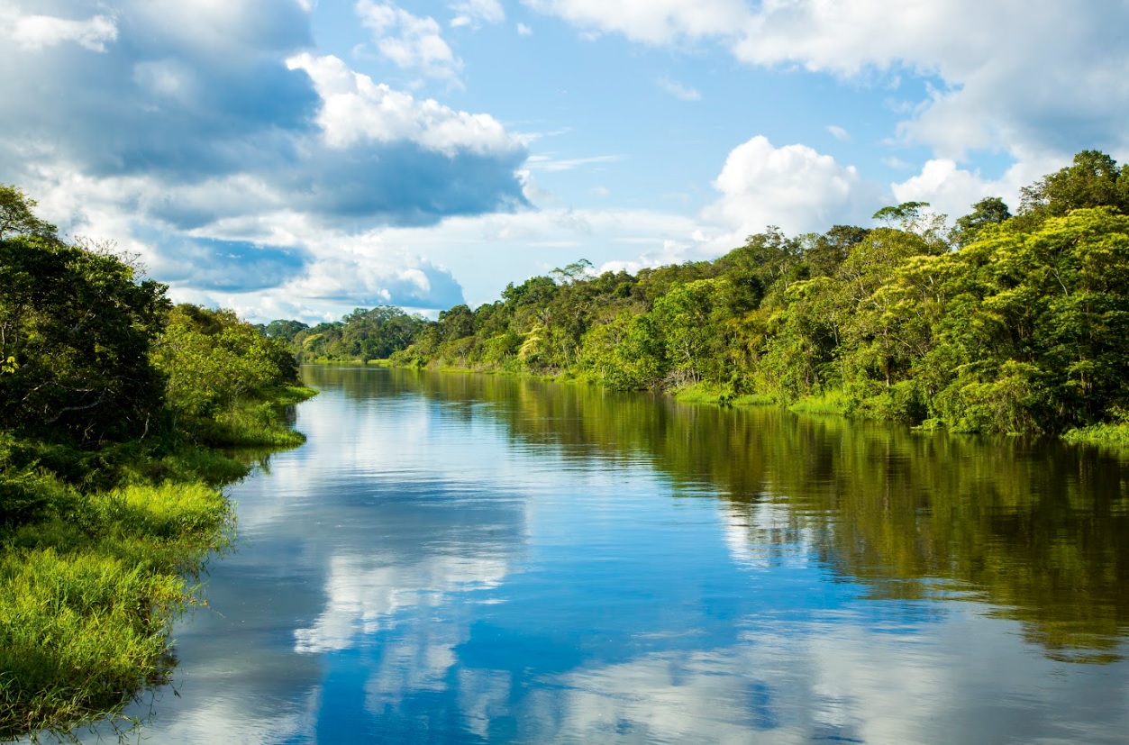 La Amazonía peruana, escenario natural donde navegan los cruceros de Delfín Amazon Cruises, entre ríos tranquilos y una biodiversidad única.