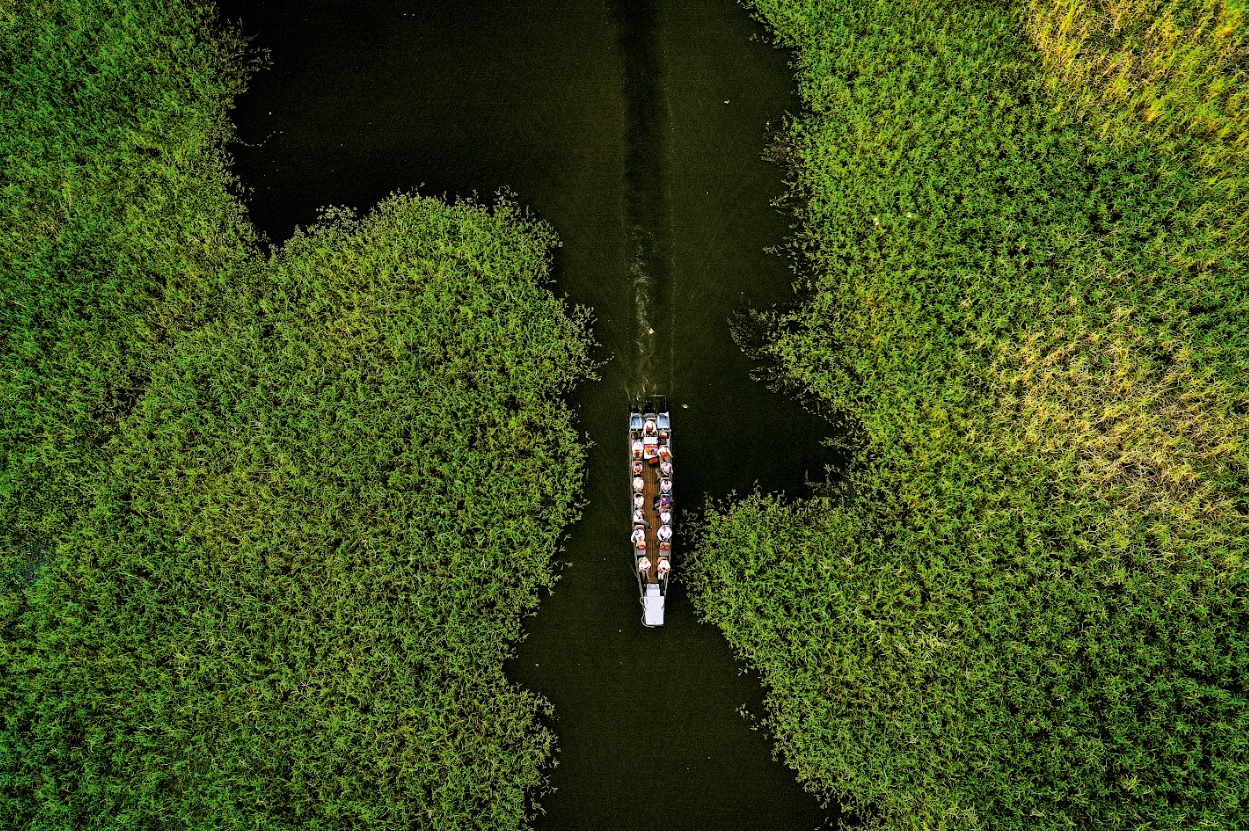 Vista aérea de una excursión en canoa por los canales de Pacaya Samiria.